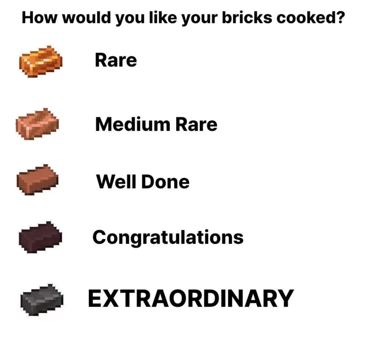 Minecraft meme : Brick