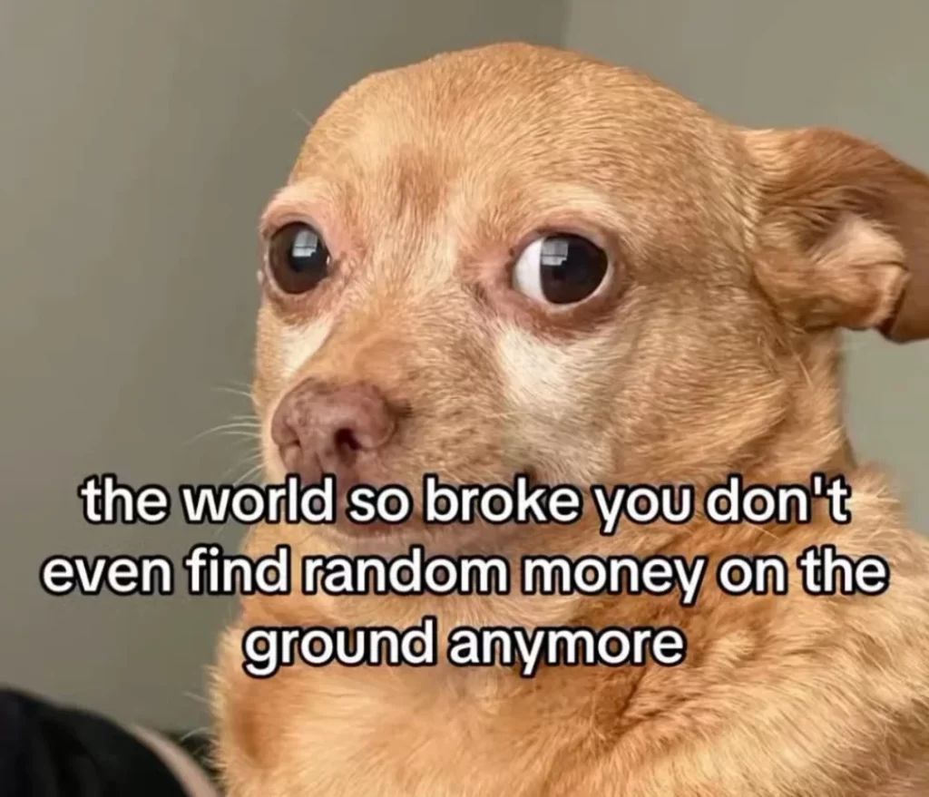 shit is crazy dawg v0 qa1ewjzm3eze1 1